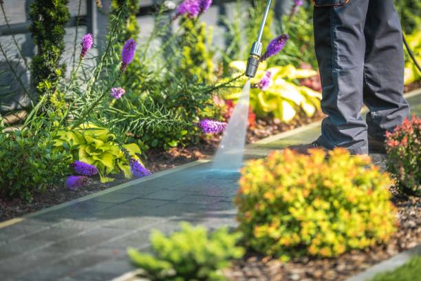 Best Pre-Holiday Cleaning  in Frazier Park, CA